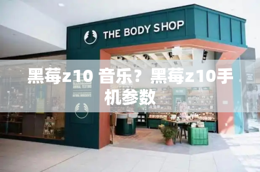 黑莓z10 音乐？黑莓z10手机参数