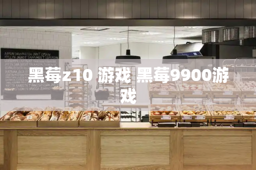黑莓z10 游戏 黑莓9900游戏-第1张图片-星选测评