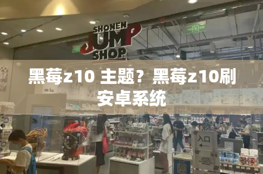 黑莓z10 主题？黑莓z10刷安卓系统-第1张图片-星选测评