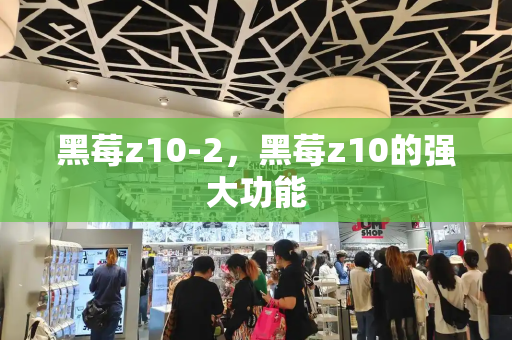 黑莓z10-2，黑莓z10的强大功能-第1张图片-星选测评