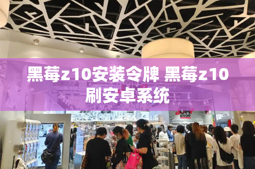 黑莓z10安装令牌 黑莓z10刷安卓系统