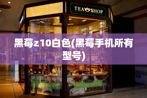 黑莓z10白色(黑莓手机所有型号)