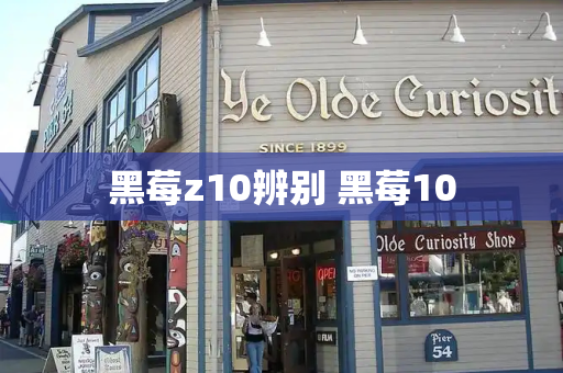 黑莓z10辨别 黑莓10-第1张图片-星选测评