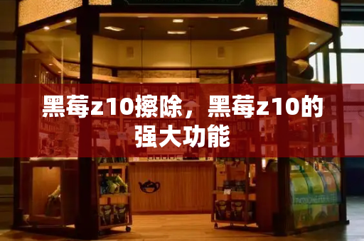 黑莓z10擦除，黑莓z10的强大功能-第1张图片-星选测评