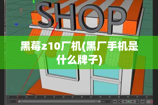 黑莓z10厂机(黑厂手机是什么牌子)