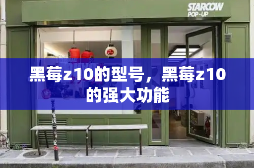 黑莓z10的型号，黑莓z10的强大功能-第1张图片-星选测评