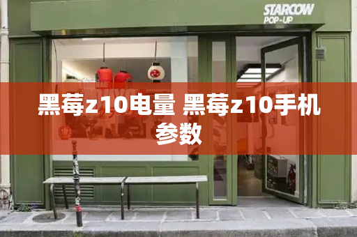 黑莓z10电量 黑莓z10手机参数-第1张图片-星选测评