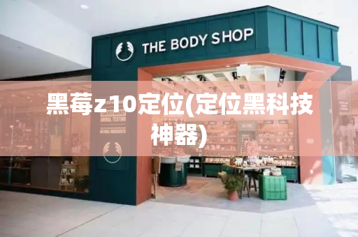 黑莓z10定位(定位黑科技神器)
