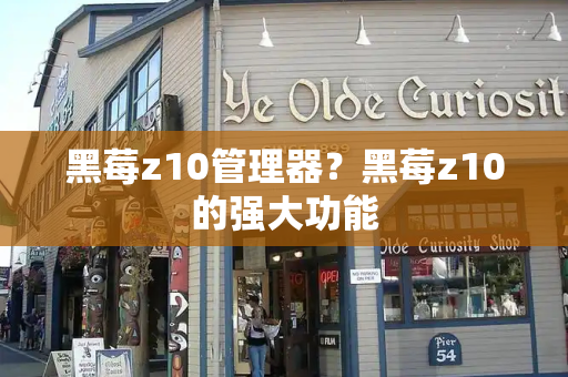 黑莓z10管理器？黑莓z10的强大功能-第1张图片-星选测评