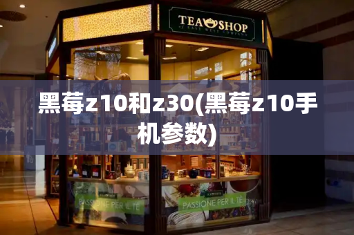 黑莓z10和z30(黑莓z10手机参数)-第1张图片-星选测评