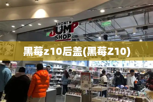 黑莓z10后盖(黑莓Z10)-第1张图片-星选测评