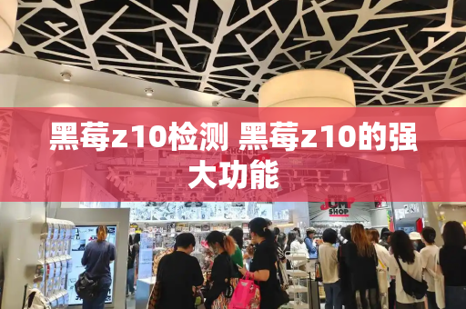 黑莓z10检测 黑莓z10的强大功能-第1张图片-星选测评