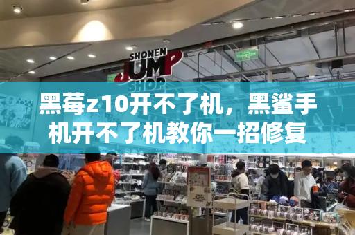 黑莓z10开不了机，黑鲨手机开不了机教你一招修复-第1张图片-星选测评
