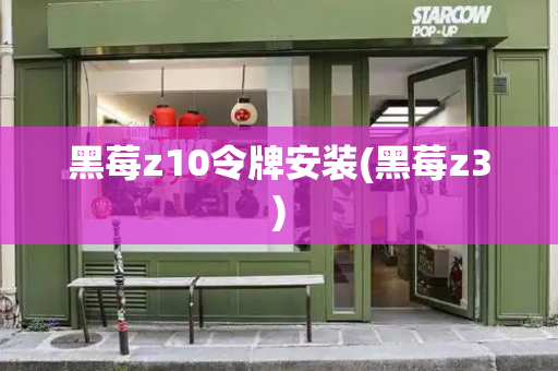 黑莓z10令牌安装(黑莓z3)