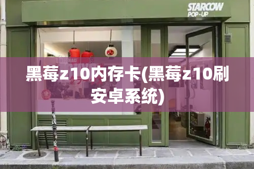 黑莓z10内存卡(黑莓z10刷安卓系统)-第1张图片-星选测评
