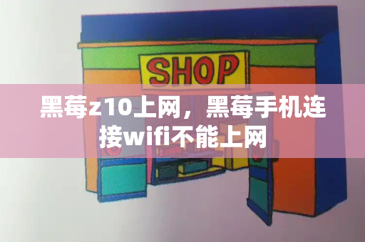 黑莓z10上网，黑莓手机连接wifi不能上网-第1张图片-星选测评