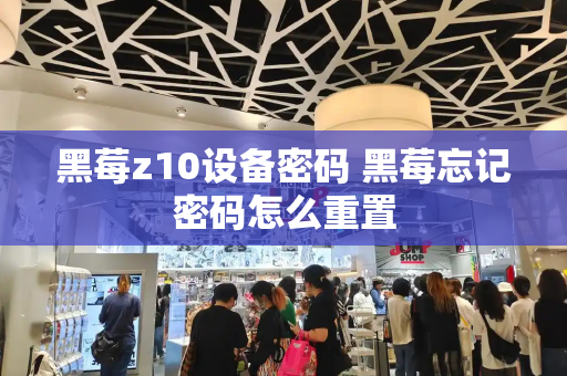 黑莓z10设备密码 黑莓忘记密码怎么重置