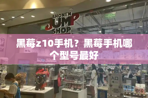 黑莓z10手机？黑莓手机哪个型号最好-第1张图片-星选测评