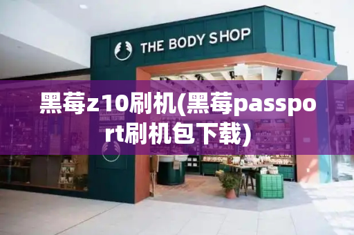 黑莓z10刷机(黑莓passport刷机包下载)