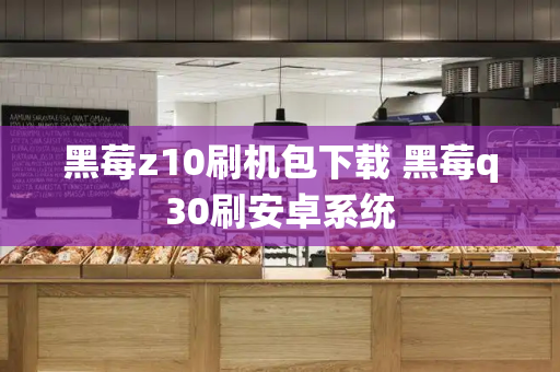 黑莓z10刷机包下载 黑莓q30刷安卓系统-第1张图片-星选测评