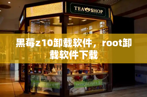 黑莓z10卸载软件，root卸载软件下载