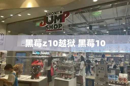 黑莓z10越狱 黑莓10-第1张图片-星选测评