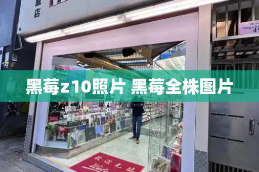 黑莓z10照片 黑莓全株图片