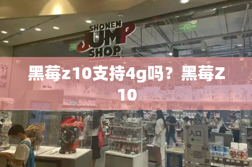 黑莓z10支持4g吗？黑莓Z10-第1张图片-星选测评