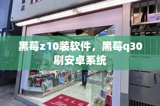 黑莓z10装软件，黑莓q30刷安卓系统