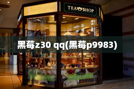 黑莓z30 qq(黑莓p9983)