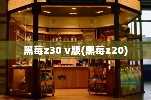 黑莓z30 v版(黑莓z20)-第1张图片-星选测评