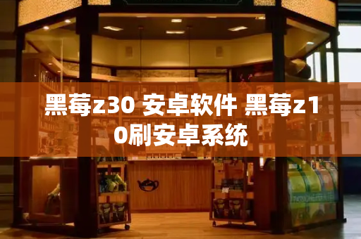 黑莓z30 安卓软件 黑莓z10刷安卓系统