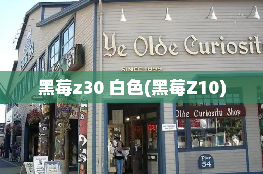 黑莓z30 白色(黑莓Z10)-第1张图片-星选测评