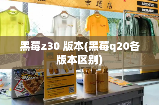 黑莓z30 版本(黑莓q20各版本区别)-第1张图片-星选测评