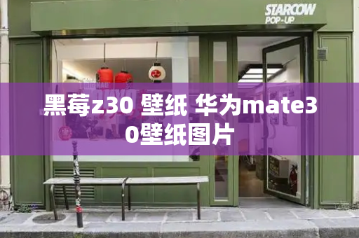 黑莓z30 壁纸 华为mate30壁纸图片-第1张图片-星选测评