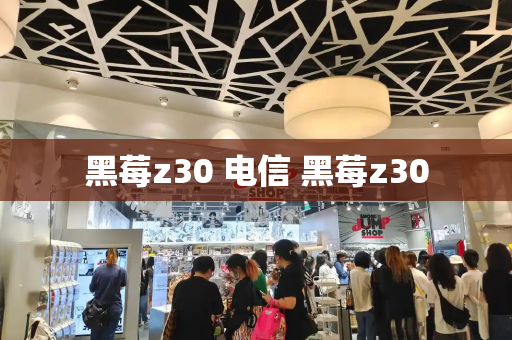 黑莓z30 电信 黑莓z30-第1张图片-星选测评