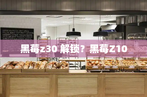 黑莓z30 解锁？黑莓Z10-第1张图片-星选测评