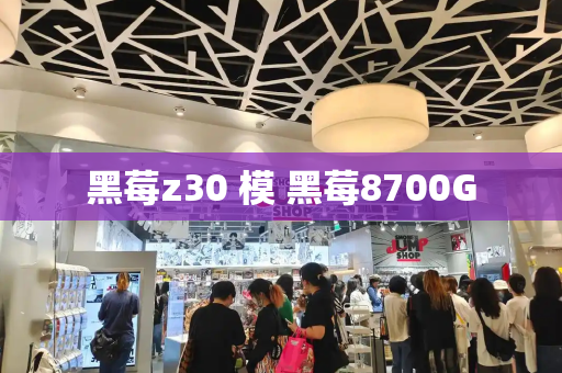 黑莓z30 模 黑莓8700G