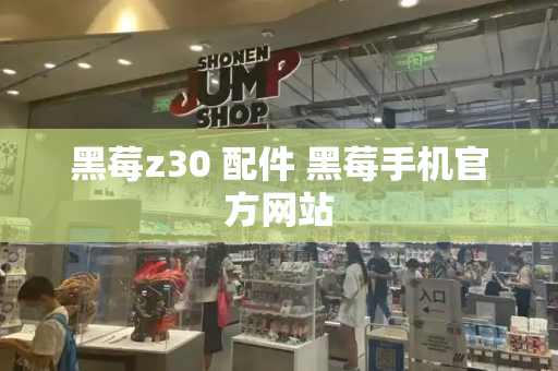 黑莓z30 配件 黑莓手机官方网站-第1张图片-星选测评