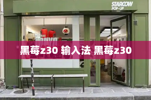黑莓z30 输入法 黑莓z30