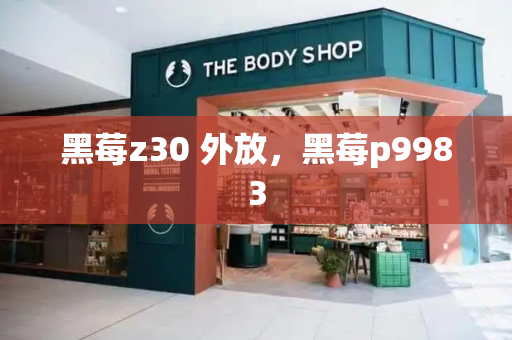 黑莓z30 外放，黑莓p9983