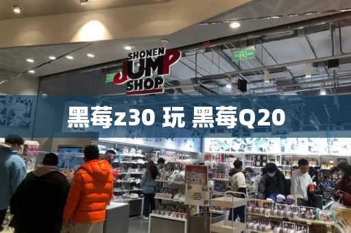 黑莓z30 玩 黑莓Q20-第1张图片-星选测评