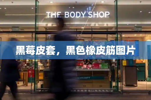 黑莓皮套，黑色橡皮筋图片