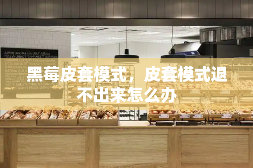 黑莓皮套模式，皮套模式退不出来怎么办