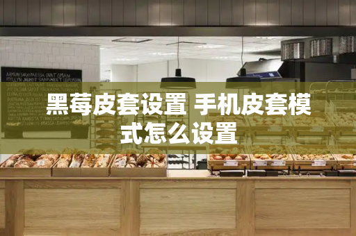 黑莓皮套设置 手机皮套模式怎么设置-第1张图片-星选测评