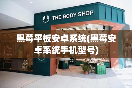 黑莓平板安卓系统(黑莓安卓系统手机型号)