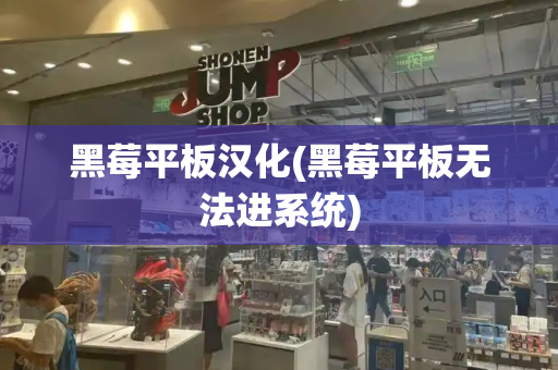 黑莓平板汉化(黑莓平板无法进系统)-第1张图片-星选测评
