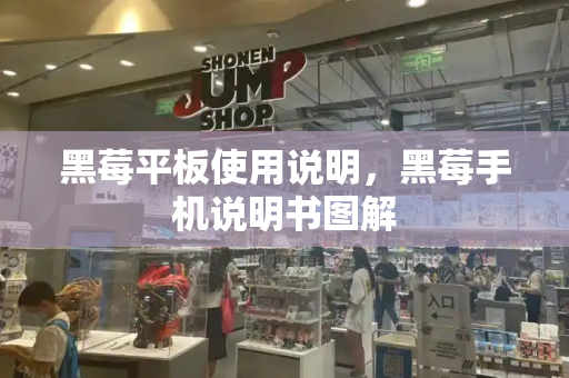 黑莓平板使用说明，黑莓手机说明书图解
