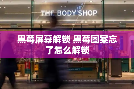 黑莓屏幕解锁 黑莓图案忘了怎么解锁