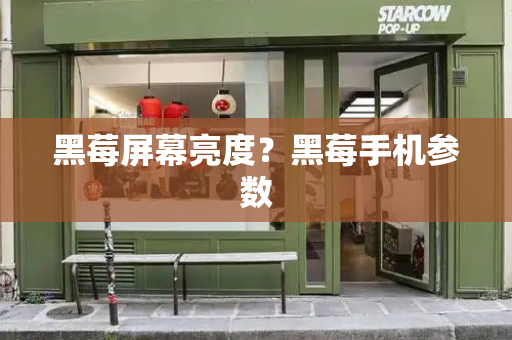 黑莓屏幕亮度？黑莓手机参数